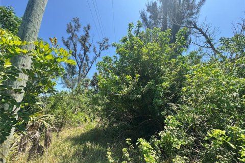 Land in Placida, Florida № 2166111 - photo 11