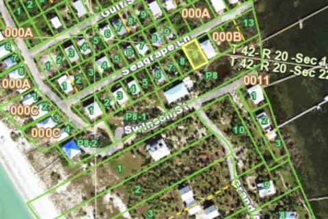 Land in Placida, Florida № 2166111 - photo 2