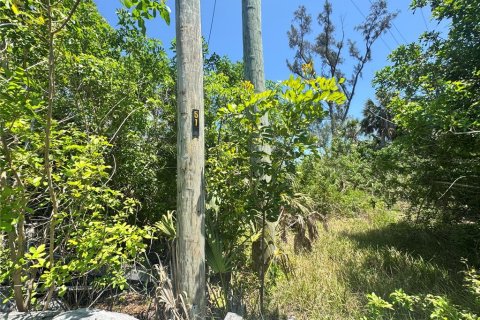 Land in Placida, Florida № 2166111 - photo 8