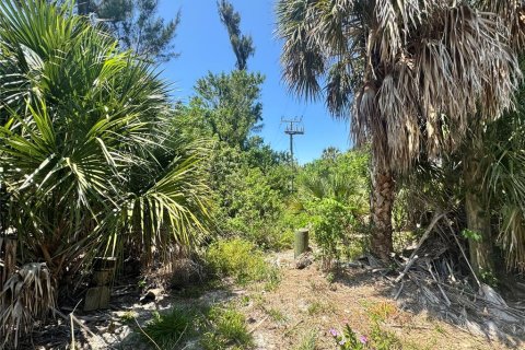 Land in Placida, Florida № 2166111 - photo 14