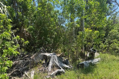 Land in Placida, Florida № 2166111 - photo 6