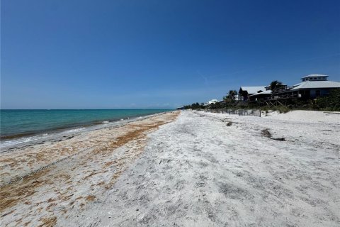 Land in Placida, Florida № 2166111 - photo 22