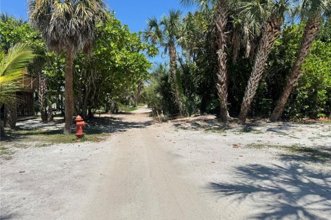 Land in Placida, Florida № 2166111 - photo 16