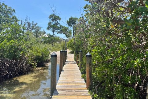 Land in Placida, Florida № 2166111 - photo 4