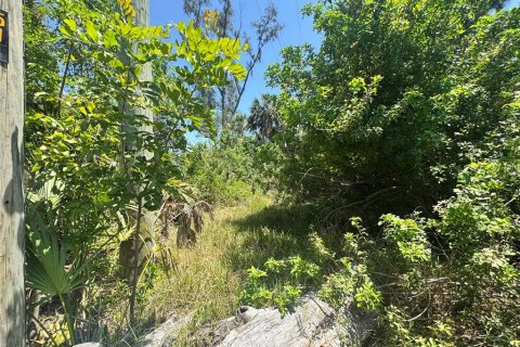 Land in Placida, Florida № 2166111 - photo 10