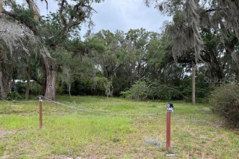 Terreno en Wildwood, Florida № 2122007