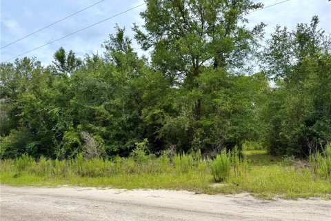 Terrain à Bronson, Floride № 2202126