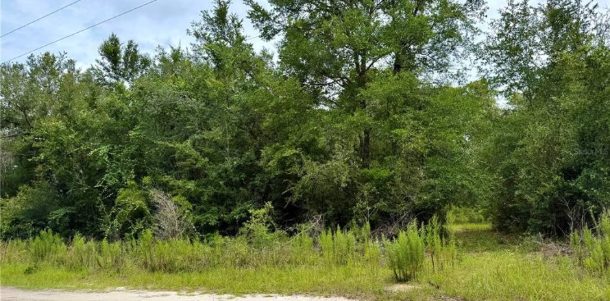 Land in Bronson, Florida № 2202126
