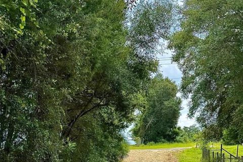 Land in Bronson, Florida № 2202126 - photo 2