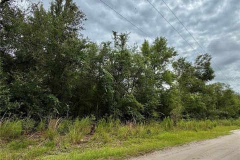 Land in Bronson, Florida № 2202126 - photo 7