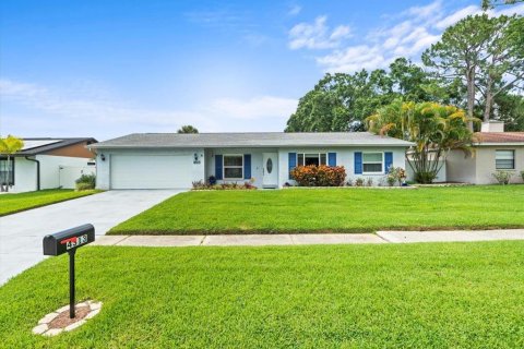 House in Tampa, Florida 3 bedrooms, 151.06 sq.m. № 1820680 - photo 1