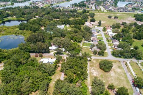 Land in Lakeland, Florida № 1797441 - photo 2