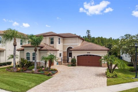 Villa ou maison à vendre à Wesley Chapel, Floride: 4 chambres, 348.48 m2 № 2289951 - photo 2