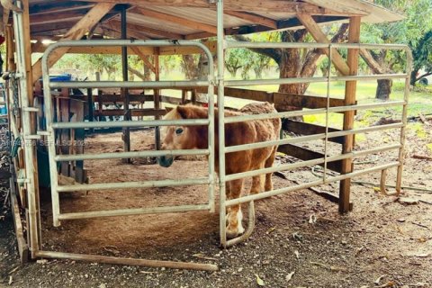 Commercial property in Miami, Florida № 2006144 - photo 13