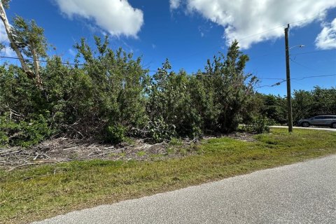 Terrain à vendre à Port Charlotte, Floride № 2228548 - photo 3