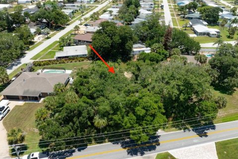 Terreno en venta en Ormond Beach, Florida № 2233195 - foto 6