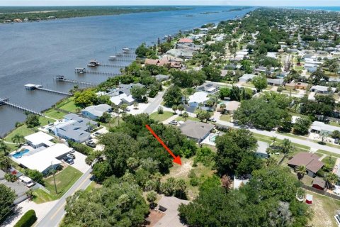 Terreno en venta en Ormond Beach, Florida № 2233195 - foto 10