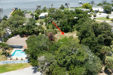 Terreno en venta en Ormond Beach, Florida № 2233195 - foto 2