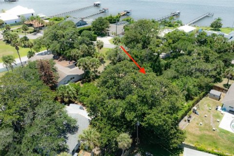 Terreno en venta en Ormond Beach, Florida № 2233195 - foto 3