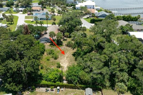 Terreno en venta en Ormond Beach, Florida № 2233195 - foto 4