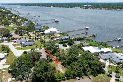 Terreno en venta en Ormond Beach, Florida № 2233195 - foto 14