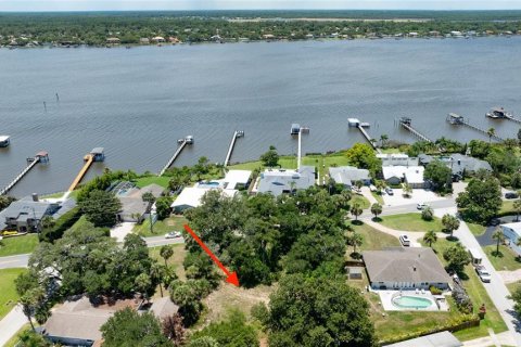 Terreno en venta en Ormond Beach, Florida № 2233195 - foto 12