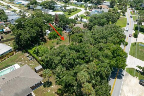 Terreno en venta en Ormond Beach, Florida № 2233195 - foto 5
