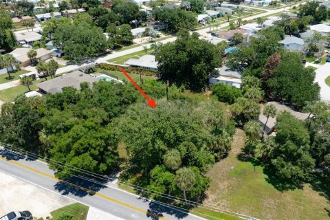 Terreno en venta en Ormond Beach, Florida № 2233195 - foto 7