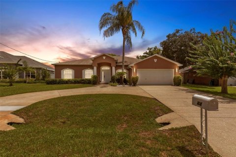 Villa ou maison à Palm Coast, Floride 3 chambres, 197.23 m2 № 2322385
