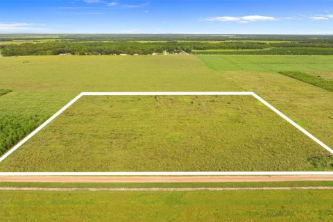 Land in Fort Meade, Florida № 1899628 - photo 3