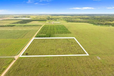 Land in Fort Meade, Florida № 1899628 - photo 19