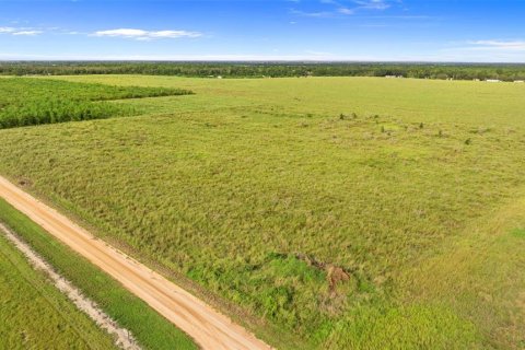 Land in Fort Meade, Florida № 1899628 - photo 23