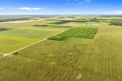 Land in Fort Meade, Florida № 1899628 - photo 18