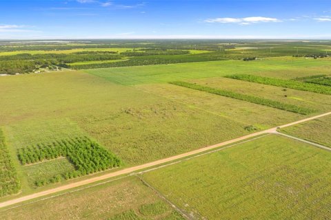 Land in Fort Meade, Florida № 1899628 - photo 8