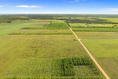 Land in Fort Meade, Florida № 1899628 - photo 10
