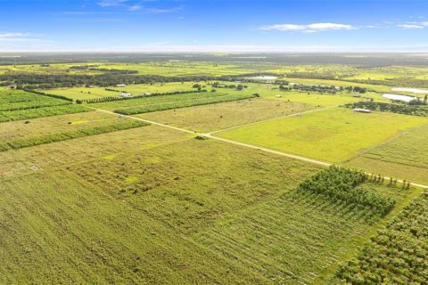 Land in Fort Meade, Florida № 1899628 - photo 12