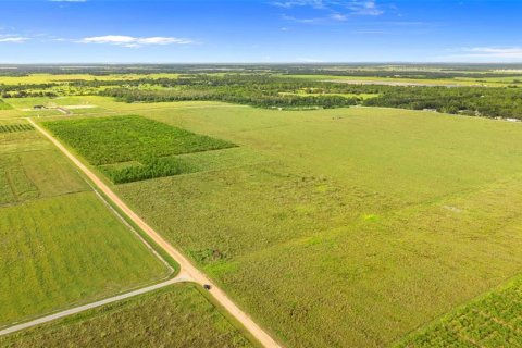 Land in Fort Meade, Florida № 1899628 - photo 22