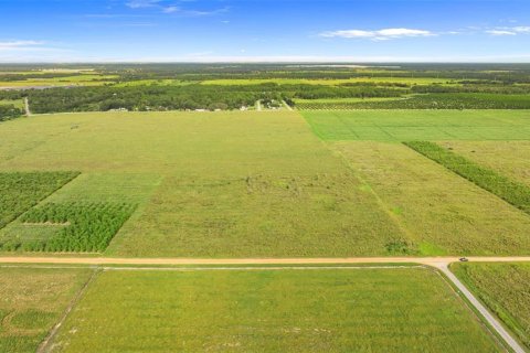 Land in Fort Meade, Florida № 1899628 - photo 2