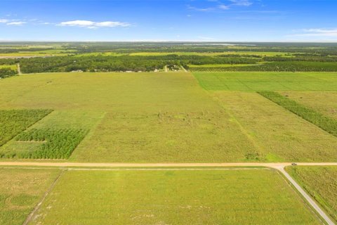 Land in Fort Meade, Florida № 1899628 - photo 6