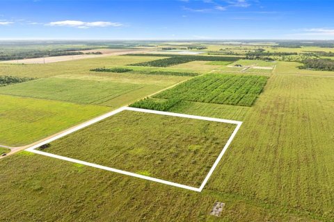 Land in Fort Meade, Florida № 1899628 - photo 17