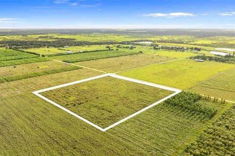 Land in Fort Meade, Florida № 1899628 - photo 11