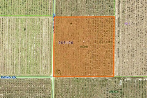 Land in Fort Meade, Florida № 1899628 - photo 24