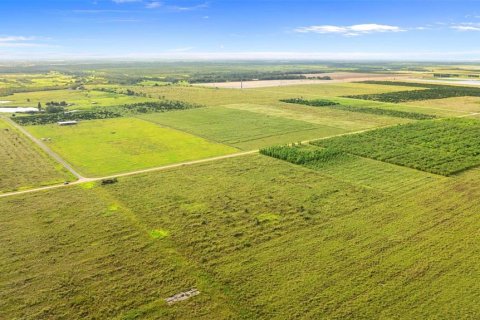 Land in Fort Meade, Florida № 1899628 - photo 16