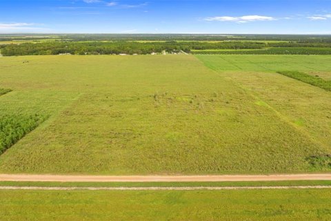 Land in Fort Meade, Florida № 1899628 - photo 4