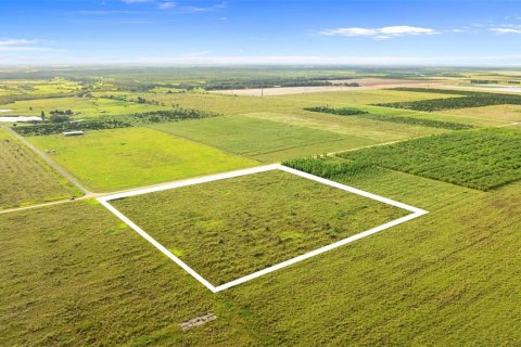 Land in Fort Meade, Florida № 1899628 - photo 15