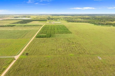 Land in Fort Meade, Florida № 1899628 - photo 20