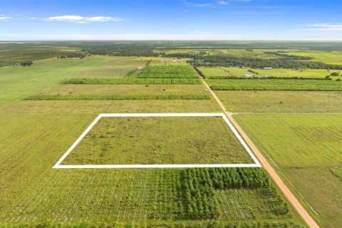 Land in Fort Meade, Florida № 1899628 - photo 9