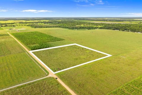 Land in Fort Meade, Florida № 1899628 - photo 21