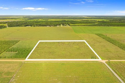 Land in Fort Meade, Florida № 1899628 - photo 5