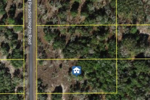 Terreno en Dunnellon, Florida № 2162181